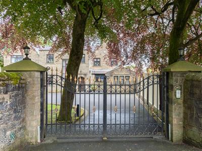 Picture 29